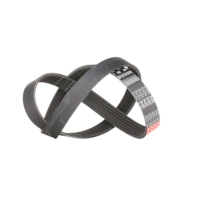 Bilde av GATES 6PK1010 Kileribberem 1010 6 Polyester, EPDM (etyl propylen dien gummi) FleetRunner Micro V PEUGEOT: 206 Hatchback, SW, HYUNDAI: Sonata VII