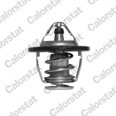 Bilde av Termostat CALORSTAT by Vernet TH6520.88J