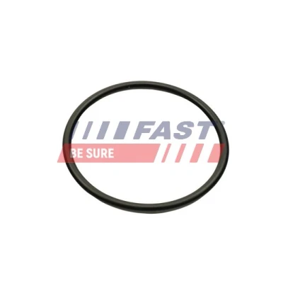 Bilde av FAST FT49460 Innsugspakning utgang RENAULT: Scénic 1, LAGUNA 2 Grandtour