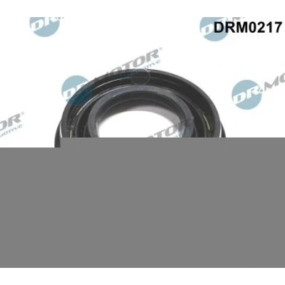 Bilde av DR.MOTOR AUTOMOTIVE DRM0217 Pakninger VOLKSWAGEN: GOLF 6, Passat B6 Variant, FORD: Transit Mk6 Van