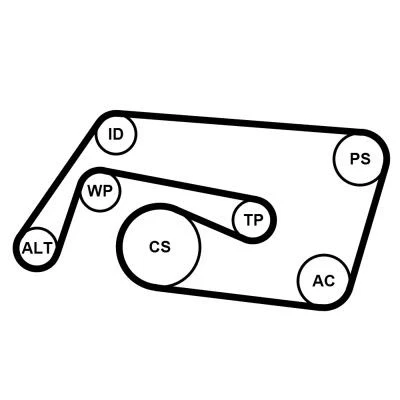 Bilde av CONTITECH 6PK2260K2 Kileribberem MERCEDES BENZ: S Klasse Sedan, CLK Coupé