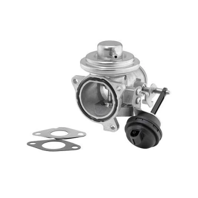 Bilde av WAHLER 7293D/1 EGR Ventil pneumatisk med tetning VOLKSWAGEN: Polo IV Hatchback, Golf 4, Bora Sedan, SKODA: Octavia 1 Combi, Fabia Combi