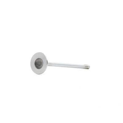 Bilde av Utløpsventil, chevrolet,opel,suzuki,vauxhall, 55564737, 55570171, 641090, 641095, 641354, 641364, 641365, 90529529, 9158474