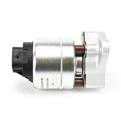 Bilde av DELPHI EG10004 12B1 EGR Ventil med tetning
