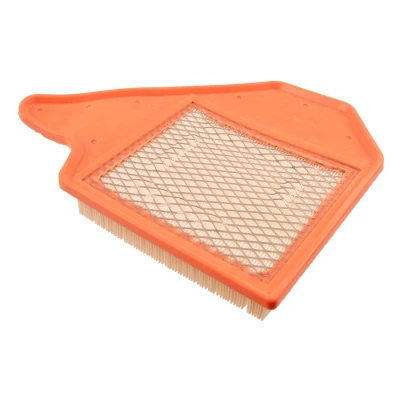 Bilde av BLUE PRINT ADA102252 Luftfilter 45 249 324 Filterinnsats