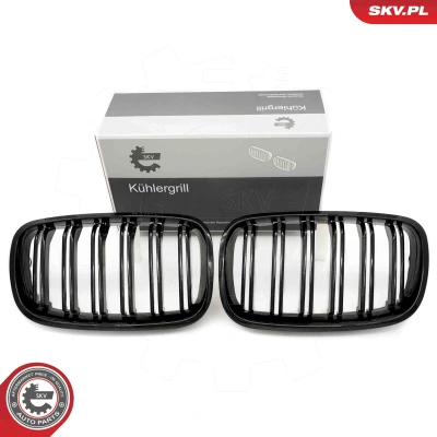 Bilde av ESEN SKV 66SKV287 Radiatorgitter glanset, svart BMW: X5