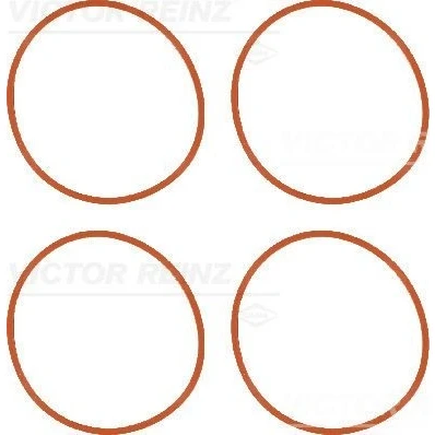 Bilde av REINZ 11 36956 01 Tetningssett, innsugningsmanifold CITROËN: C4 I Hatchback