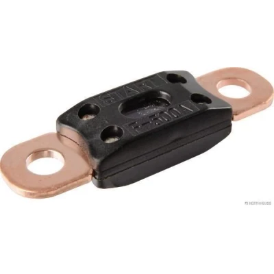 Bilde av Sikring HERTH+BUSS ELPARTS 95980803003