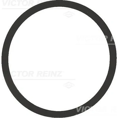 Bilde av REINZ 40 77542 00 Innsugspakning VOLKSWAGEN: Polo IV Hatchback