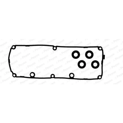 Bilde av PAYEN HM5389 Tetningssett, sylindertopp hette gummi VOLKSWAGEN: Crafter 30 35 Minibuss, Amarok Pick up, Tiguan I, SKODA: Octavia 2 Combi