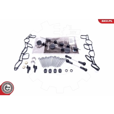 Bilde av Reparasjonssett, sugerørmodul, audi,vw, 059129711CK, 059129712BQ