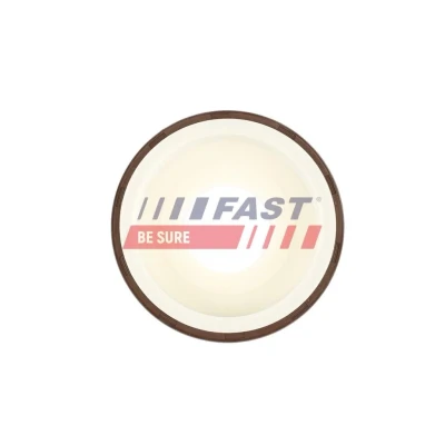Bilde av FAST FT49837 Pakninger FIAT: Ducato III Flatvogn lastebil / Chassis, PEUGEOT: Boxer Minibuss, FORD: Transit Mk6 Van