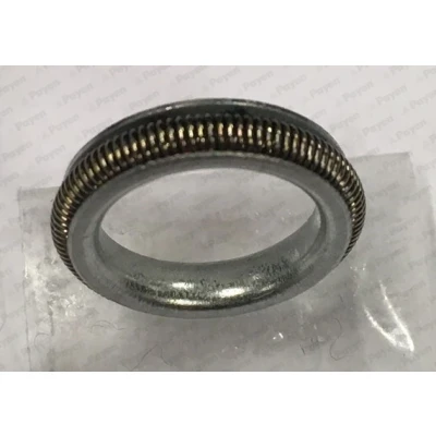 Bilde av O ring PAYEN KK5742