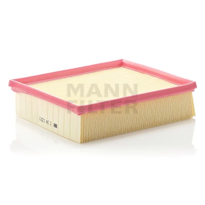 Bilde av MANN FILTER C 24 123/2 Luftfilter 58 194 231 Filterinnsats RENAULT: ESPACE 4, LAGUNA 2 Grandtour, CLIO