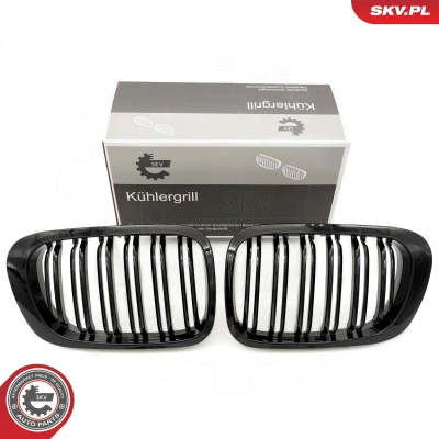 Bilde av ESEN SKV 66SKV059 Radiatorgitter glanset, svart BMW: 3 Coupé