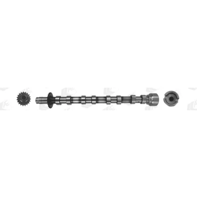 Bilde av AE CAM1019 Kamaksel Eksosside FORD: S Max Mk1, FOCUS 3 Turnier, KUGA 1, PEUGEOT: 3008 I