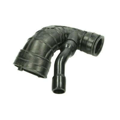 Bilde av THERMOTEC DCC019TT Sugeslange, luftfilter 34, 21 PEUGEOT: 307 Hatchback
