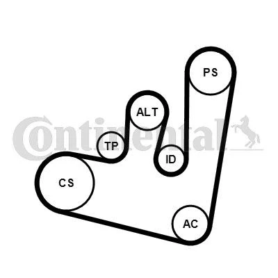 Bilde av CONTITECH 6PK1660K2 Kileribberem VOLKSWAGEN: Golf 4, Bora Sedan, 4 Variant, SKODA: Octavia 1 Combi