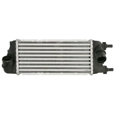 Bilde av Intercooler THERMOTEC DAF016TT