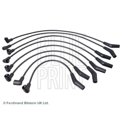 Bilde av BLUE PRINT ADJ131608 Pluggledninger LAND ROVER: Range Rover 2