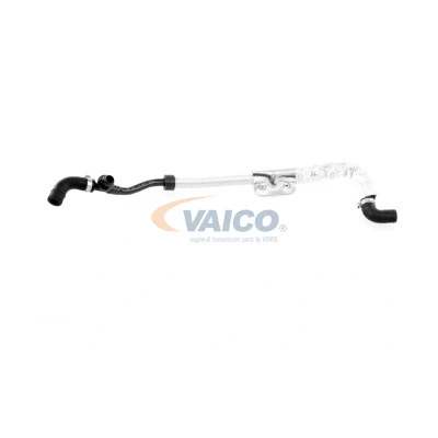 Bilde av VAICO V10 3625 Vakuumslange Q+, original equipment manufacturer quality MADE IN GERMANY VOLKSWAGEN: Golf 4