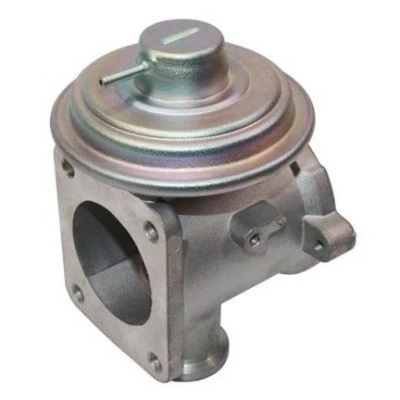 Bilde av MAGNETI MARELLI 571822112093 EGR Ventil BMW: 5 Touring, X3, Sedan