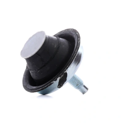 Bilde av CORTECO 80001519 Motorfeste PEUGEOT: 206 Hatchback