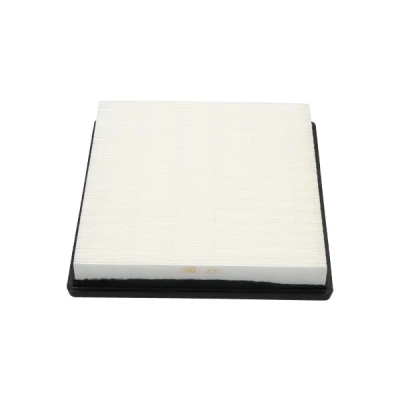 Bilde av Luftfilter, chevrolet,opel,saab,vauxhall, 13319421, 55560894