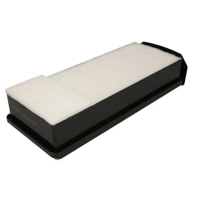 Bilde av PURRO PUR PA3085 Luftfilter 78 148 356 Filterinnsats BMW: 5 Touring, X5, Sedan