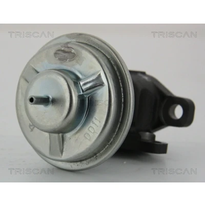 Bilde av TRISCAN 8813 43003 EGR Ventil styrt m/undertrykk med tetning HYUNDAI: Tucson