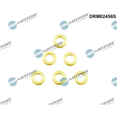 Bilde av DR.MOTOR AUTOMOTIVE DRM02456S varmevernskive, innsprøytningsanlegg