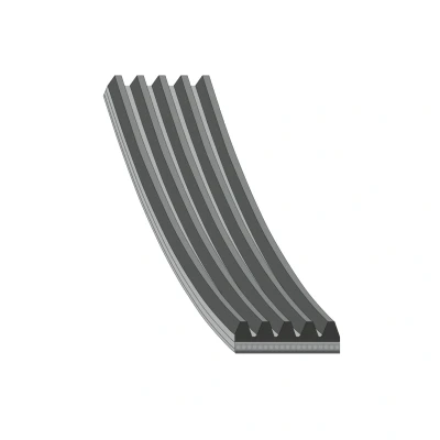 Bilde av FEBI BILSTEIN 28873 Kileribberem 1300 5 EPDM (etyl propylen dien gummi) AUDI: A6 C4 Avant, C5 A4 B5 Avant