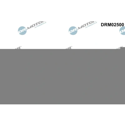 Bilde av Simmering, kamaksel Dr.Motor Automotive DRM02500