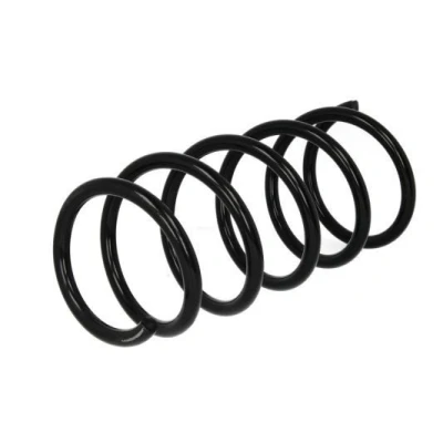 Bilde av Magnum Technology SR134MT Fjærer framaksel