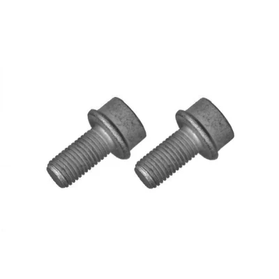 Bilde av QUICK BRAKE 11631K Skrue, bremseklave M10x1,25 AUDI: A4 B6 Sedan, A6 C4 Avant, C5 VOLKSWAGEN: Passat B5 GP Stasjonsvogn