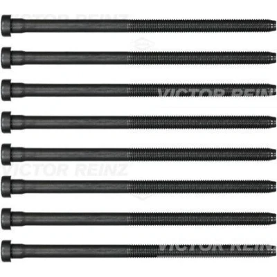 Bilde av REINZ 14 32384 02 Sylindertoppskrue innvendig polygonhode VOLKSWAGEN: Polo V Hatchback, AUDI: A1 Hatchback