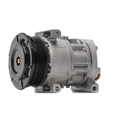 Bilde av LUCAS ELECTRICAL ACP554 Kompressor PAG 46 FIAT: BRAVO 2