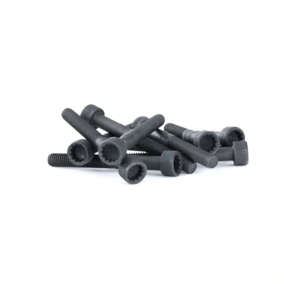 Bilde av Skruesett, lagerbukk kamaksel, audi,seat,skoda,vw, 038 103 714 G, 714, 038103714, 038103714G