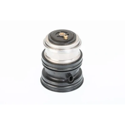 Bilde av WAHLER 410448.107D Termostat 107 PORSCHE: Panamera
