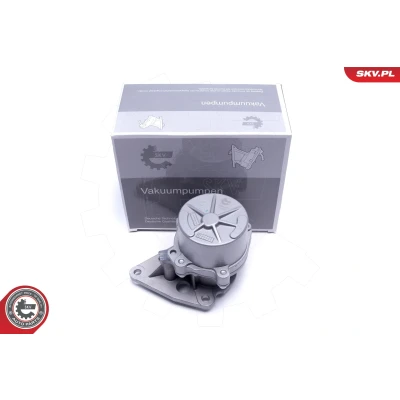 Bilde av ESEN SKV 18SKV062 Vakuumpumpe FIAT: Ducato II Flatvogn lastebil/Chassis