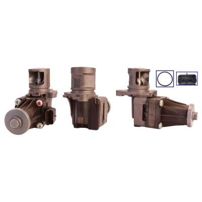 Bilde av DRI 717730085 EGR Ventil elektrisk med tetning FORD: Galaxy Mk2 MPV, S Max Mk1, MONDEO 4 Turnier, VOLVO: V70 3, V50, V60 I, PEUGEOT: 508 I SW, 3008