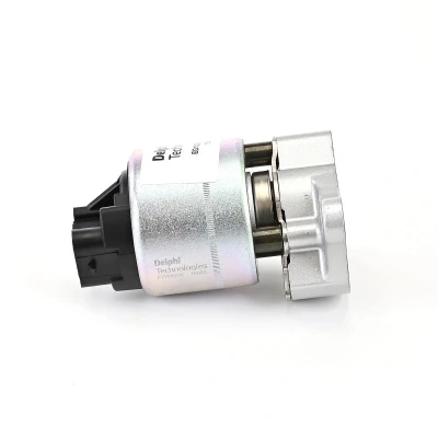 Bilde av DELPHI EG10006 12B1 EGR Ventil med tetning