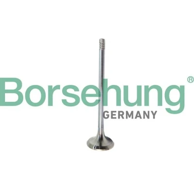 Bilde av Borsehung B10321 Eksosventil SKODA: Octavia 3 Schrägheck, VOLKSWAGEN: Polo V Hatchback