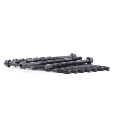 Bilde av REINZ 14 32079 01 Sylindertoppskrue innvendig torx PEUGEOT: 306 Hatchback