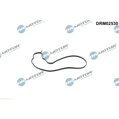 Bilde av Pakkning, vannpumpe Dr.Motor Automotive DRM02530
