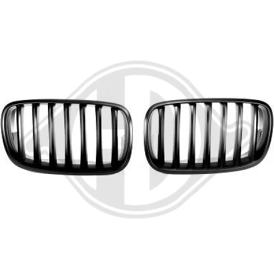 Bilde av DIEDERICHS HD Tuning 1291340 Radiatorgitter svart BMW: X5