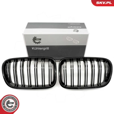 Bilde av ESEN SKV 66SKV252 Radiatorgitter glanset, svart BMW: X3