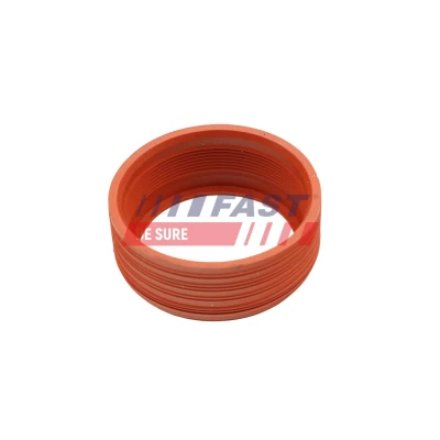 Bilde av FAST FT48931 Pakninger