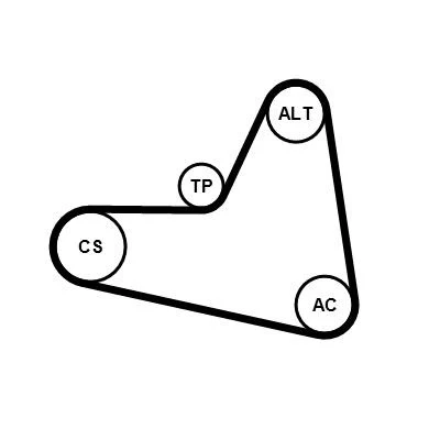 Bilde av CONTITECH 6PK1000K1 Kileribberem VOLKSWAGEN: Polo V Hatchback, Golf 7 Variant, Jetta 4, SKODA: Octavia 3 Combi, Yeti, Schrägheck