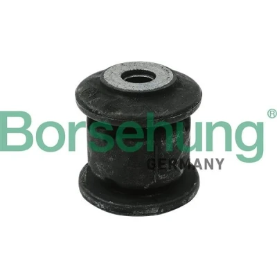 Bilde av Borsehung B12229 Styrestang Lagring framaksel VOLKSWAGEN: Passat B6 Variant, Touran I, Tiguan SKODA: Octavia 2 Combi, Superb II Stasjonsvogn